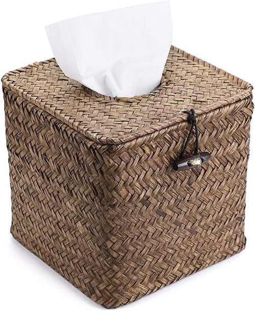 Tissue Box 4G / Wifi Live Stream Remote View 4K sekuriteitskamera w / DVR